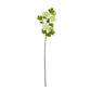 Green Snowball Viburnum Spray