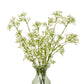 Cream Gypsophila Spray