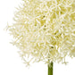 Cream Medium Allium Stem