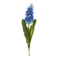 Blue Hyacinth Stem