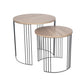 Atri S/2 Dark Oak Wood Veneer and Black Metal Side Tables